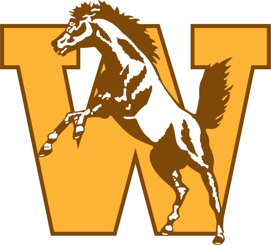 Western Michigan Broncos 1994-1998 Primary Logo DIY iron on transfer (heat transfer)
